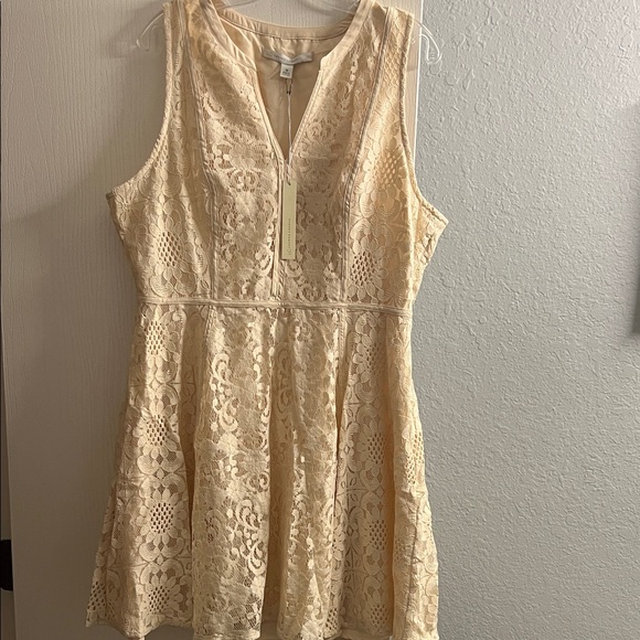 LC Lauren Conrad Dresses & Skirts - LC Lauren Conrad Cream Lace Mini Dress